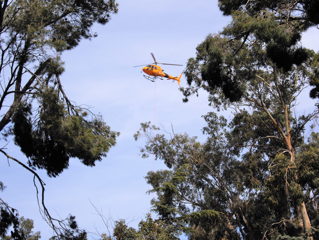 Treballs de helicòpter sobre Cap Roig, Calella de Palafrugell