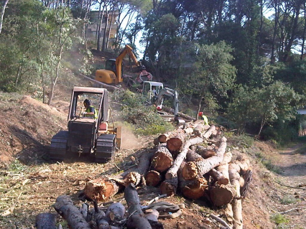 Trabajos forestales en Girona